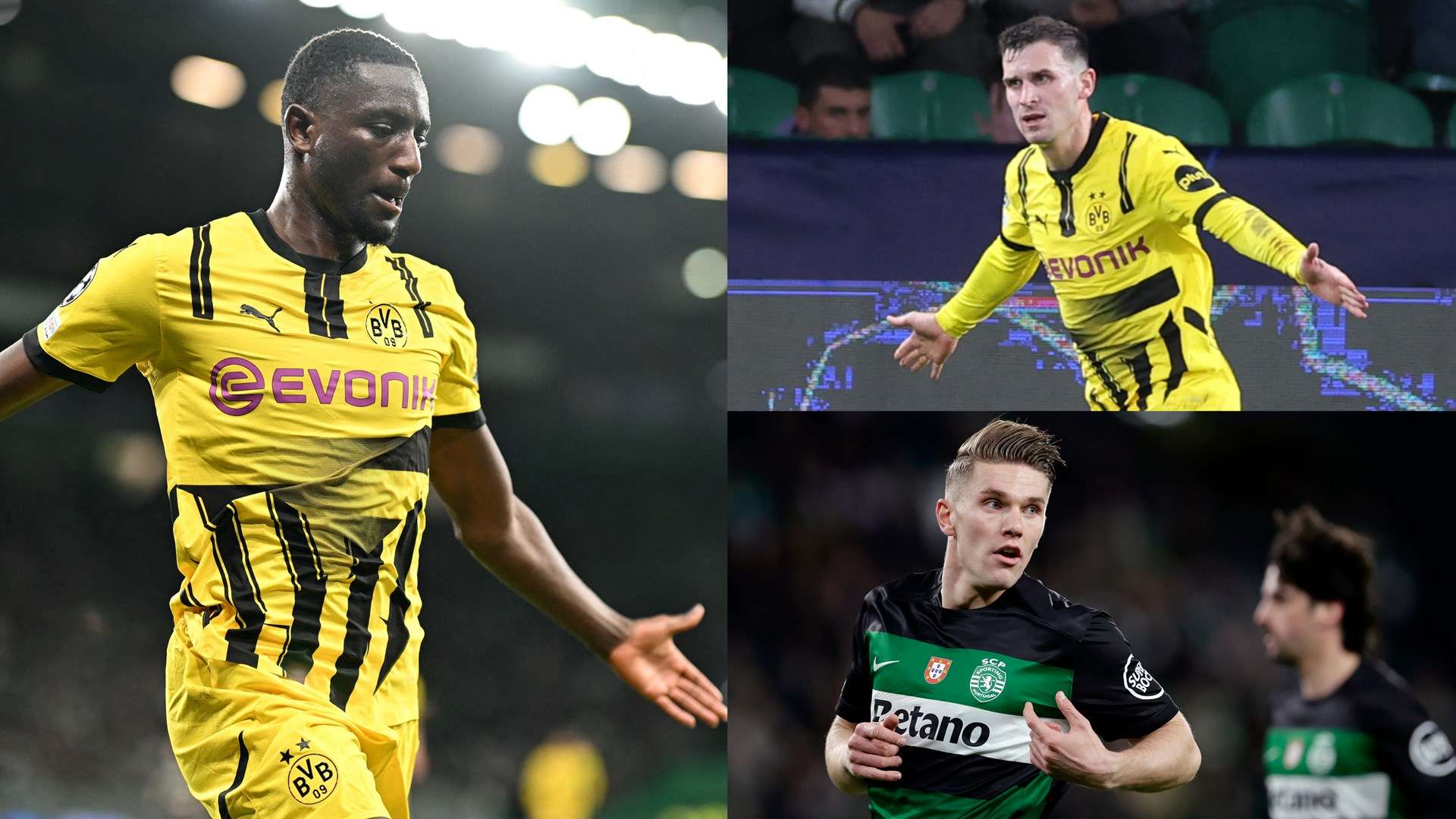 在国际舞台 在国际舞台