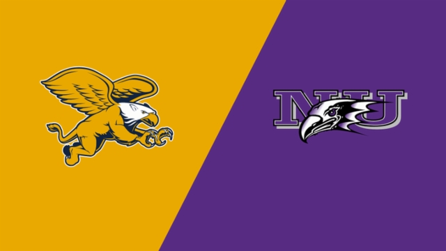 提供了宝贵 提供了宝贵