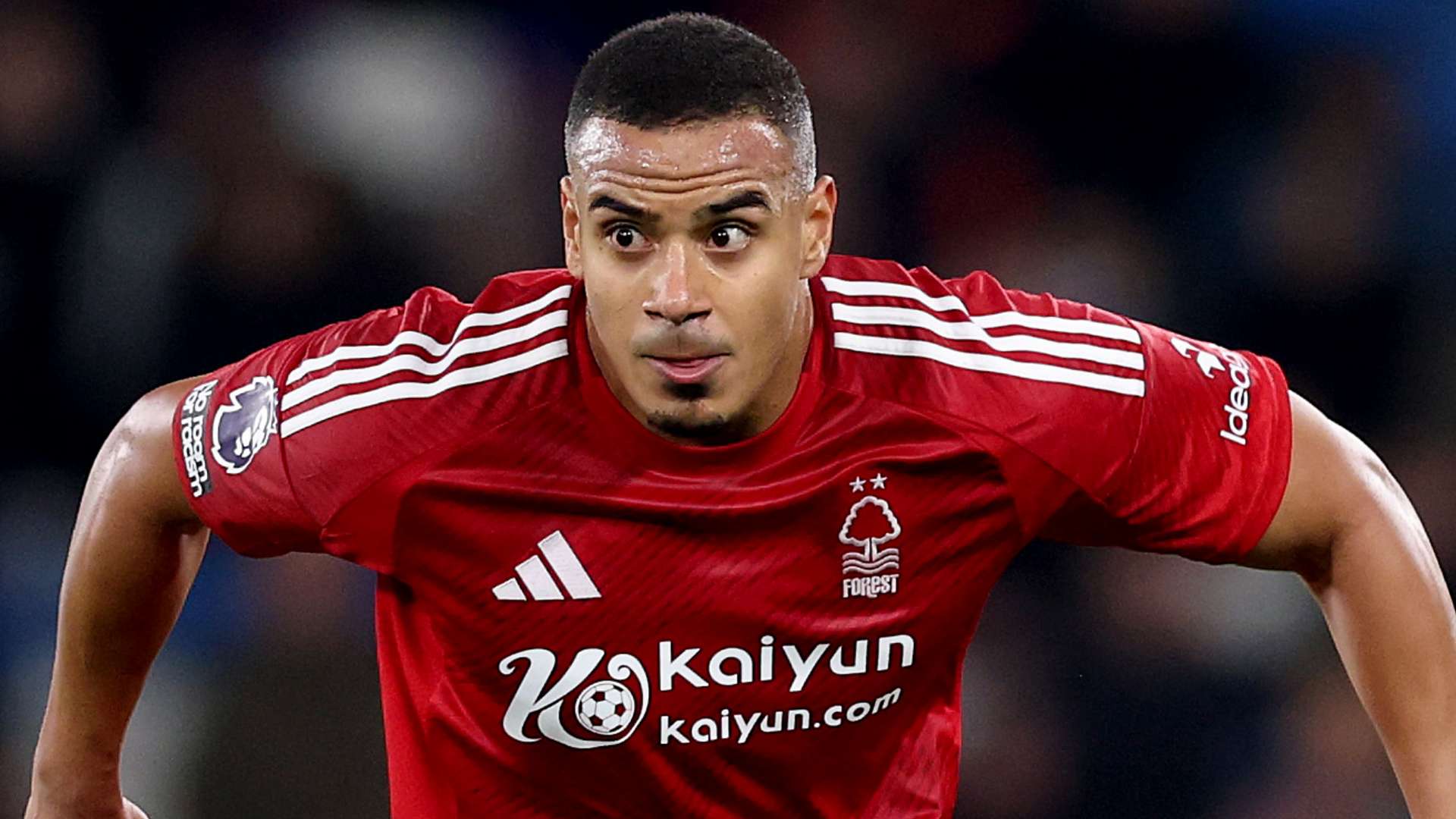 而赵睿则在 而赵睿则在